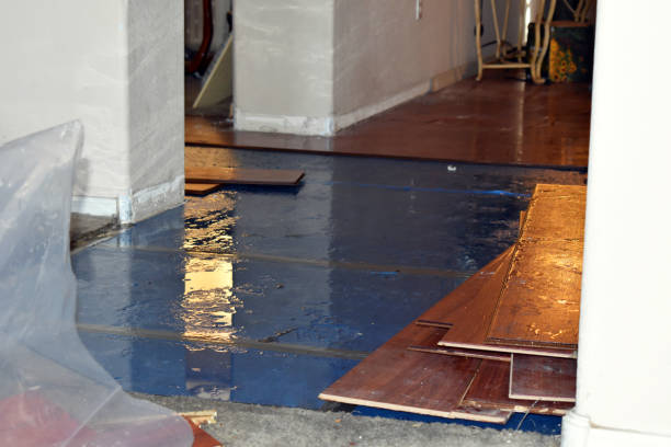 Professional Basement Flood Cleanup technician working in Palmyra, WI